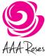 AAA Roses