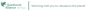Associate, Document Management